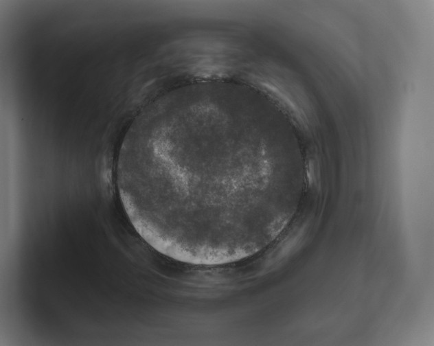 X0000102301396200808221411