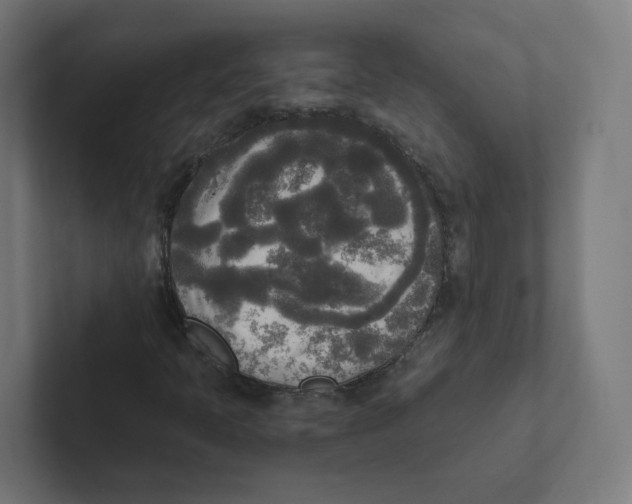 X0000102301397200808221411