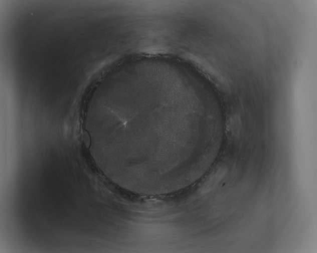 X0000102301398200808221411