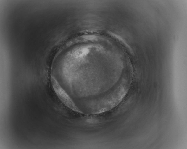 X0000102301399200808221411