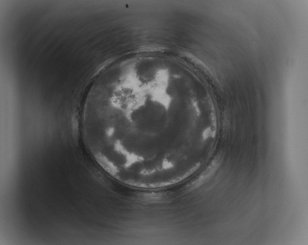 X0000102301401200808221411