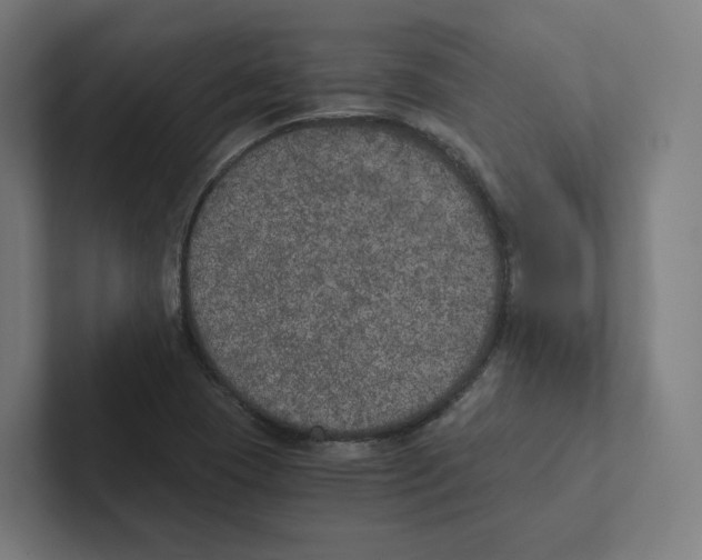 X0000102301409200808221411