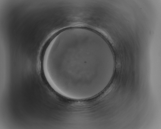 X0000102301414200808221411