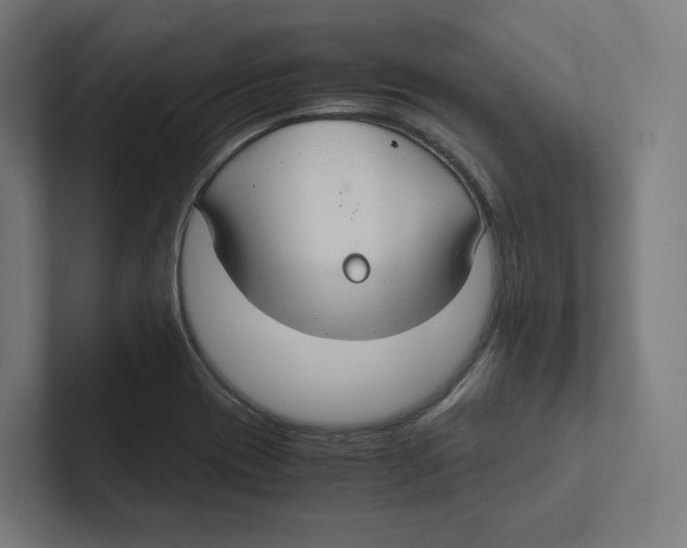 X0000102301417200808221411