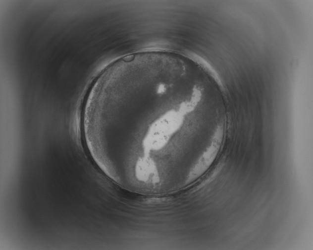 X0000102301419200808221411