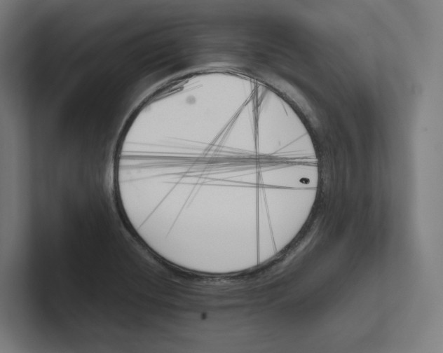 X0000102301420200808221411