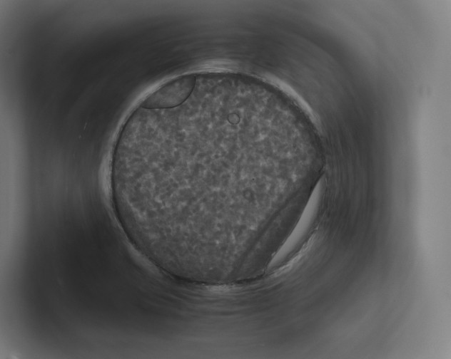 X0000102301421200808221411