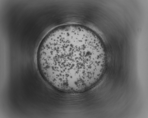 X0000102301423200808221411