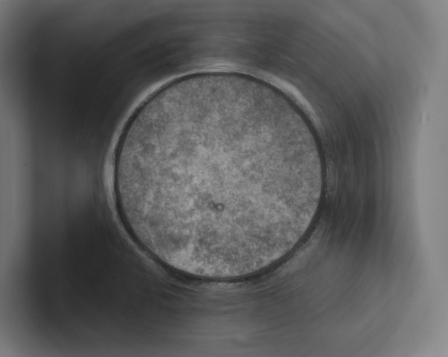 X0000102301424200808221411