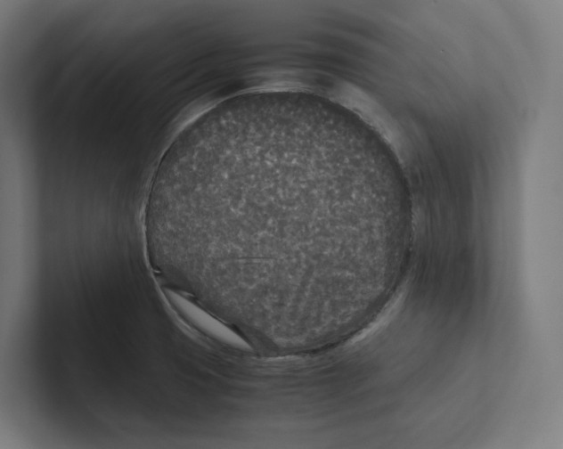 X0000102301425200808221411