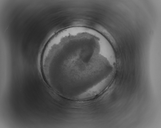 X0000102301427200808221411