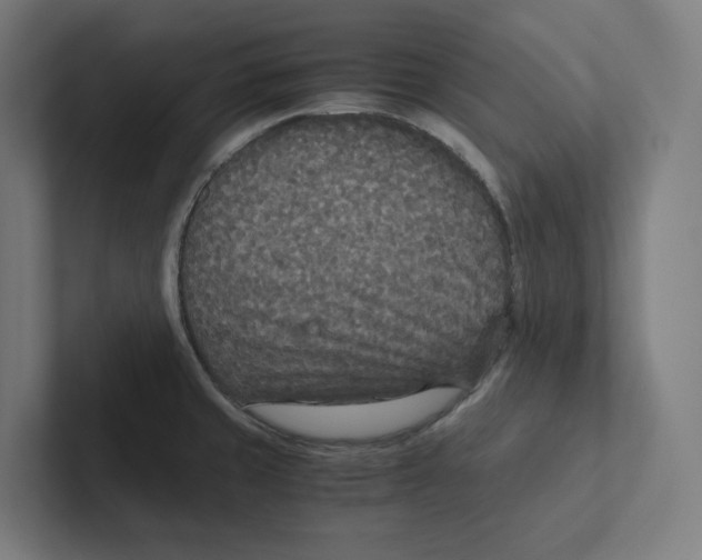 X0000102301429200808221412