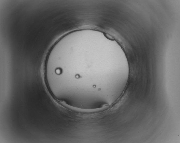 X0000102301430200808221412