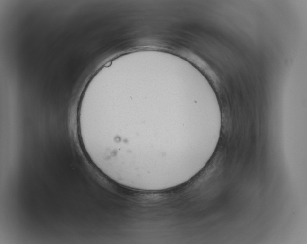 X0000102301431200808221412