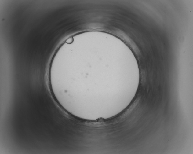 X0000102301432200808221412