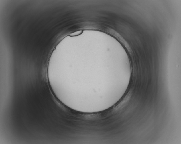X0000102301433200808221412