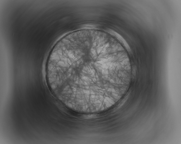 X0000102301435200808221412