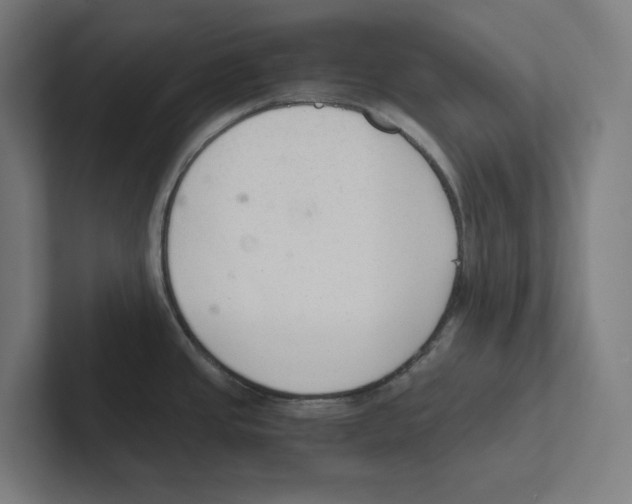 X0000102301437200808221412