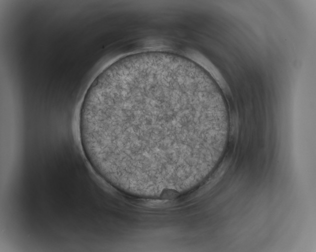 X0000102301439200808221412