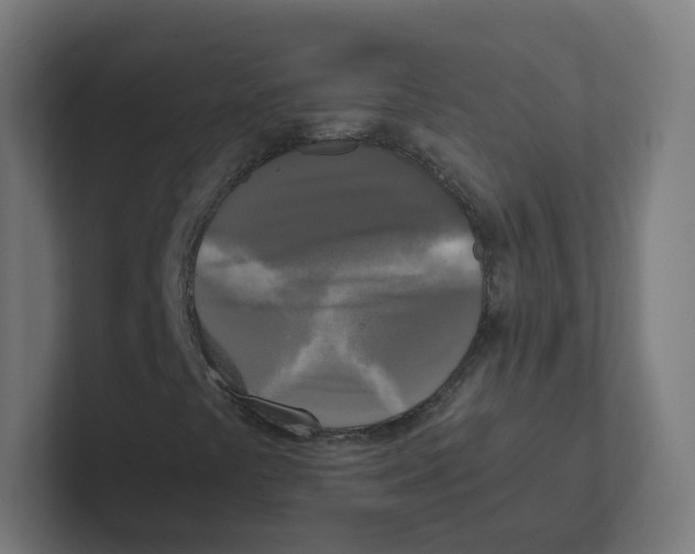 X0000102301441200808221411