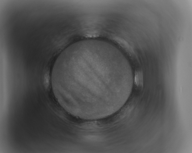 X0000102301444200808221411