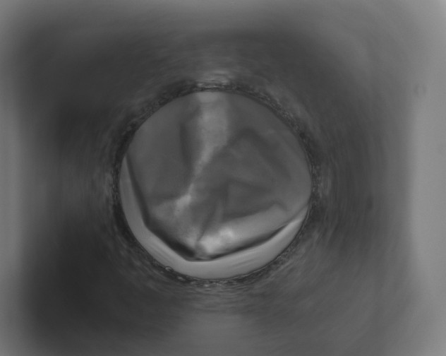 X0000102301445200808221411