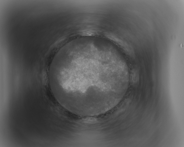 X0000102301446200808221411