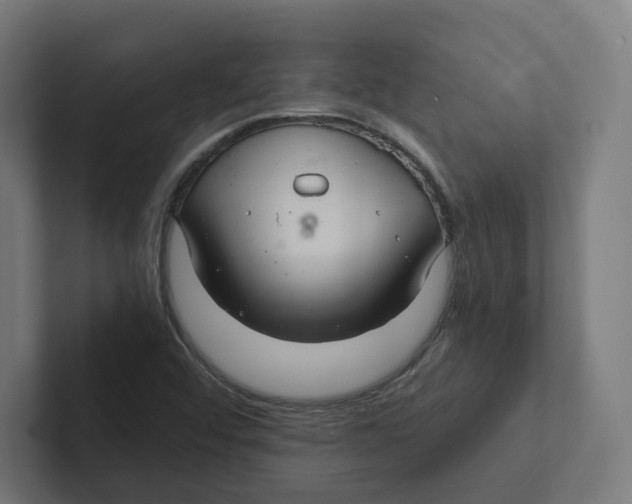 X0000102301456200808221411