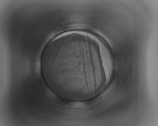 X0000102301459200808221411
