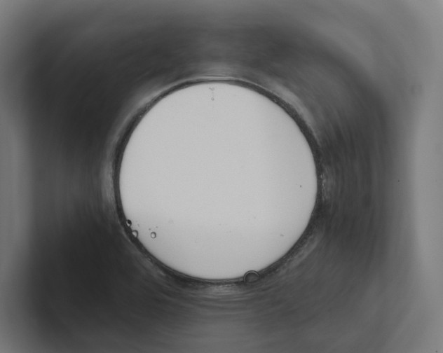 X0000102301464200808221411