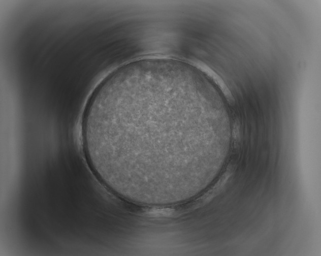 X0000102301466200808221411
