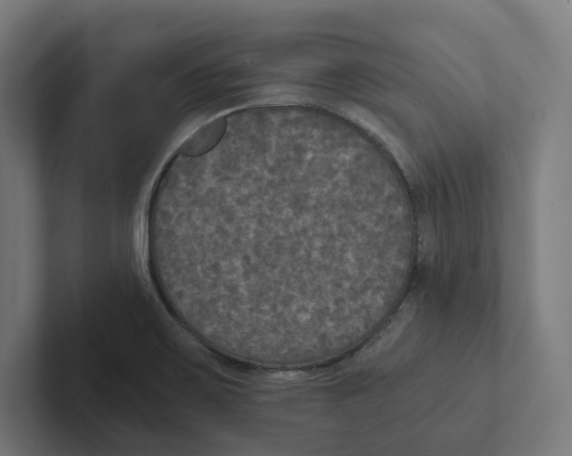 X0000102301467200808221411