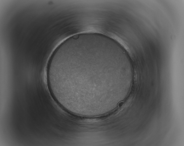 X0000102301468200808221411