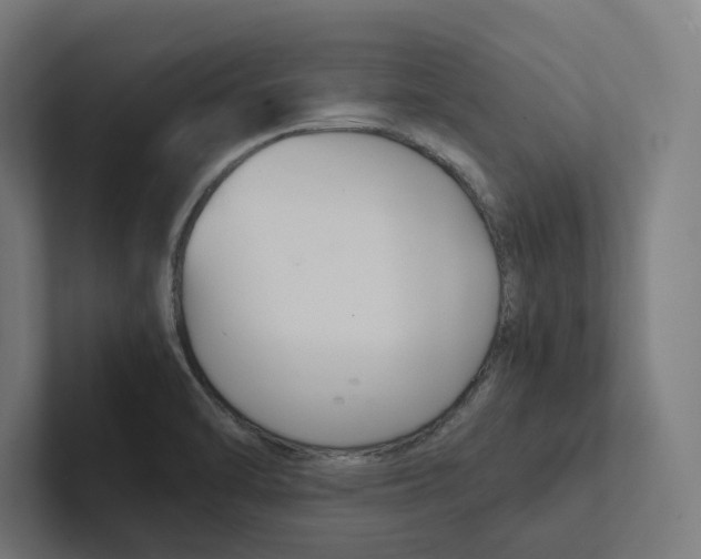 X0000102301470200808221411