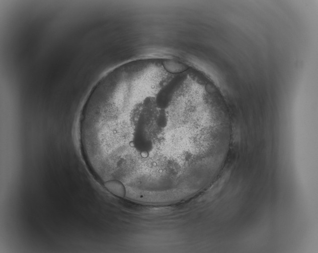X0000102301471200808221411