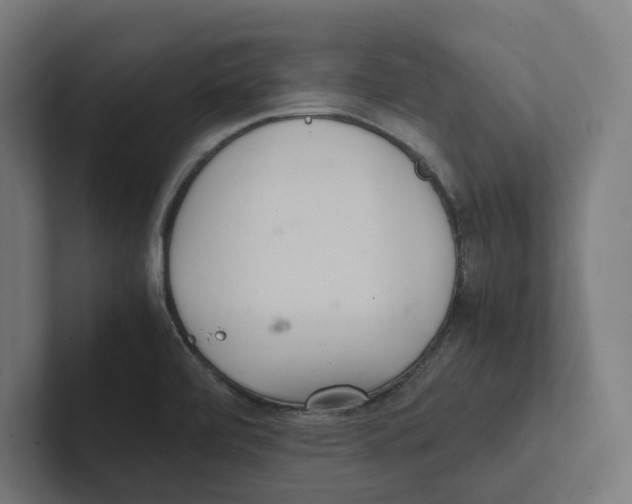 X0000102301472200808221411