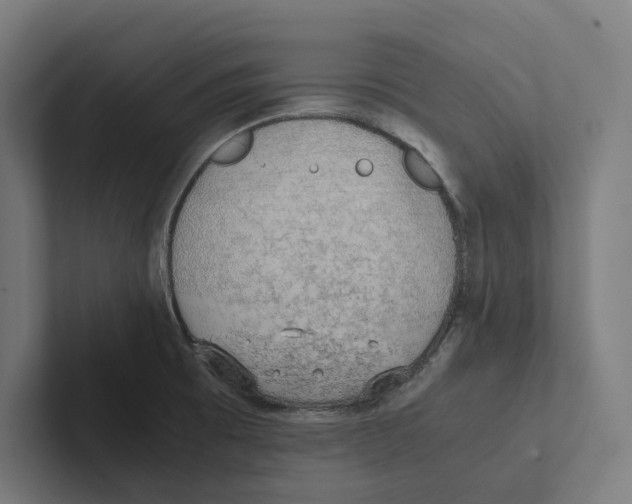X0000102301473200808221411