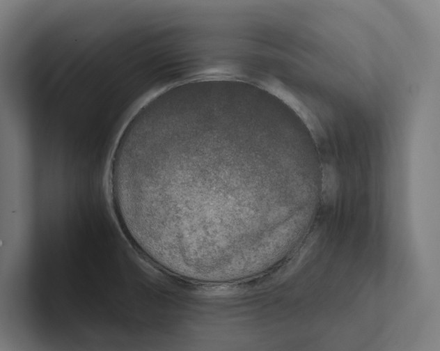 X0000102301474200808221411