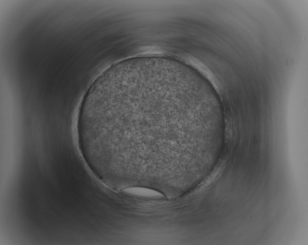 X0000102301475200808221410