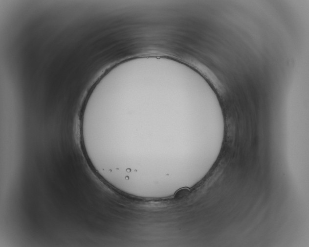 X0000102301476200808221410