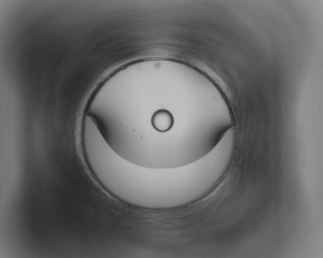 X0000102301477200808221410