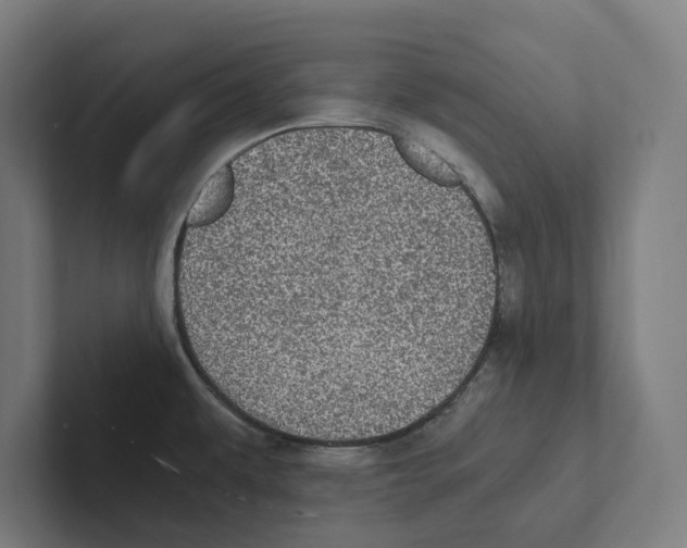X0000102301479200808221410