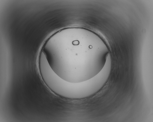 X0000102301480200808221410