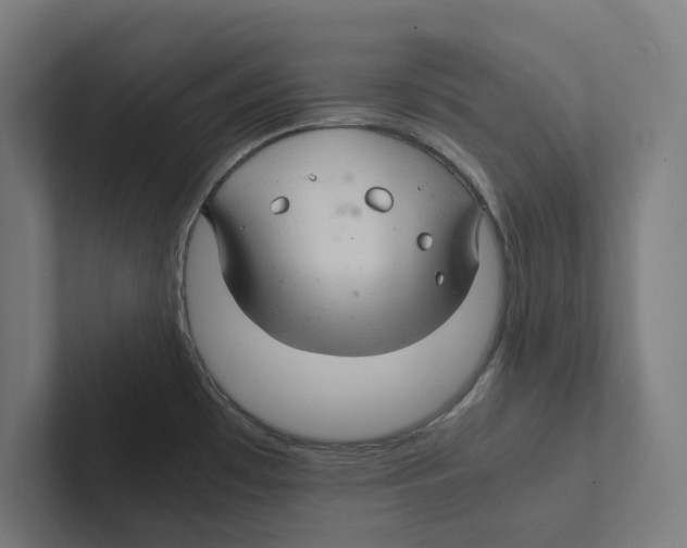 X0000102301481200808221410