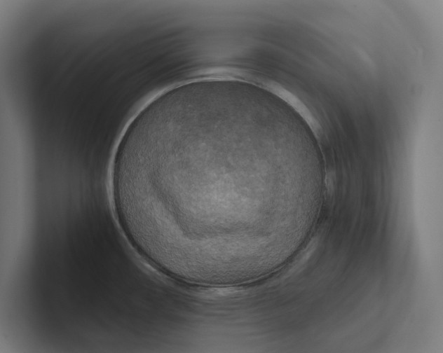X0000102301482200808221410