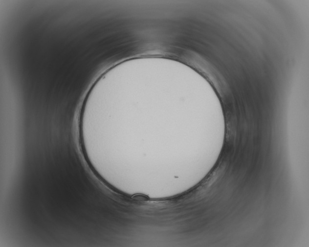 X0000102301483200808221410