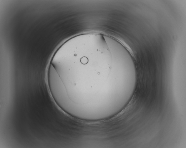 X0000102301484200808221410
