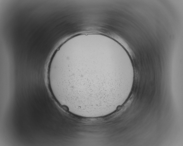 X0000102301485200808221410