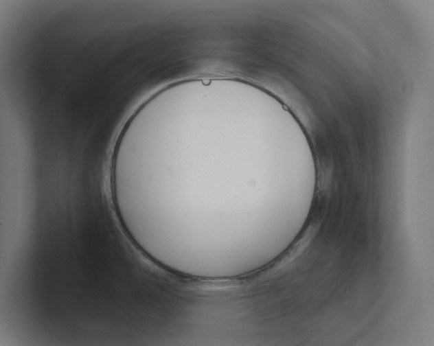 X0000102301486200808221410