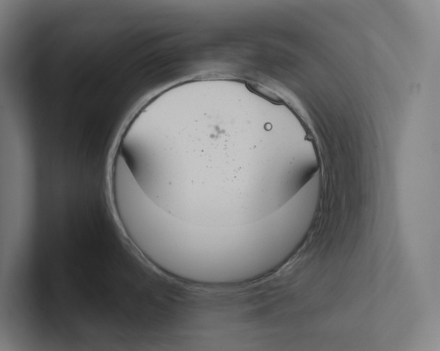 X0000102301488200808221410